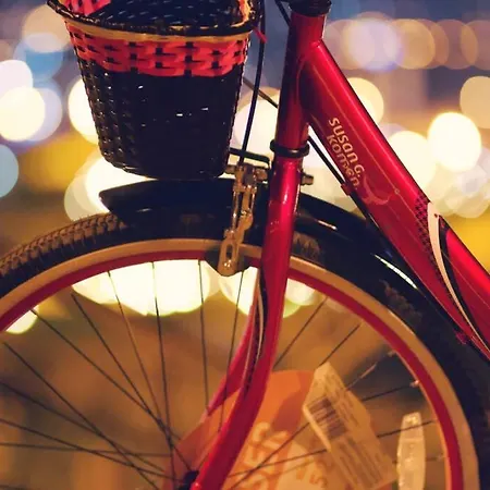 Amazing Cute Place!! X6 !!! Free++ Transports !! *